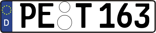 PE-T163