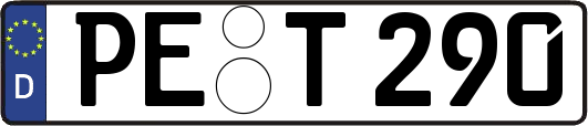 PE-T290