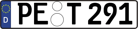 PE-T291
