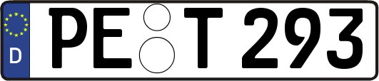 PE-T293