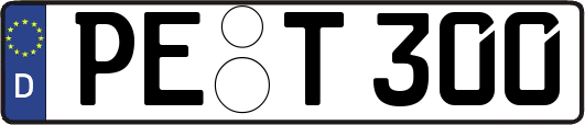 PE-T300