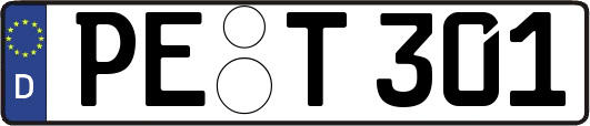 PE-T301