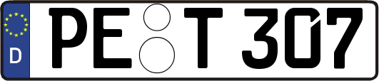 PE-T307