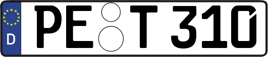 PE-T310