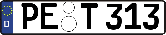 PE-T313