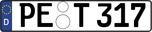 PE-T317