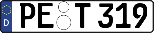 PE-T319