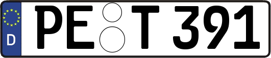 PE-T391