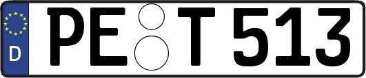 PE-T513