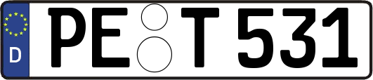 PE-T531