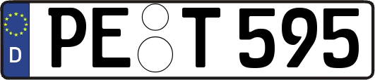 PE-T595