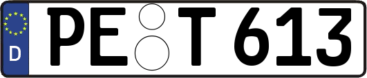 PE-T613