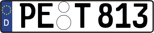 PE-T813