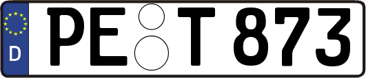 PE-T873