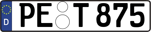 PE-T875