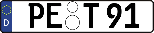 PE-T91