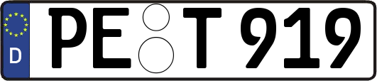 PE-T919