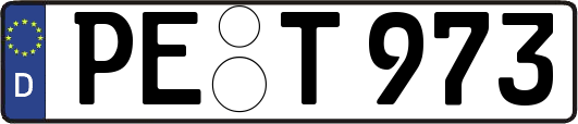 PE-T973