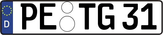 PE-TG31