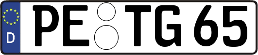PE-TG65