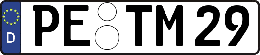 PE-TM29