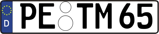 PE-TM65