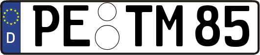 PE-TM85