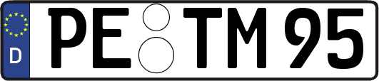 PE-TM95