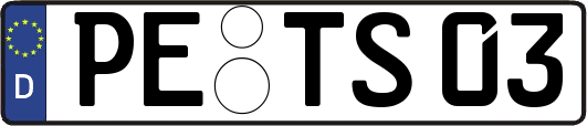 PE-TS03