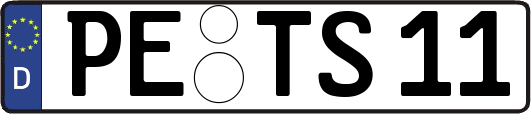 PE-TS11