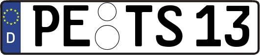 PE-TS13