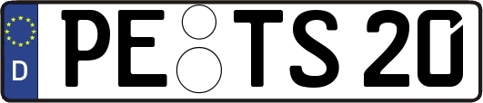 PE-TS20