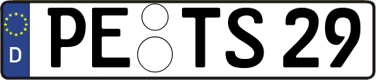PE-TS29