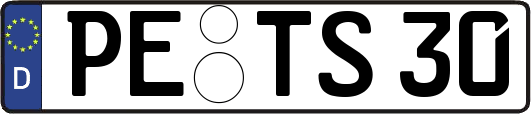 PE-TS30