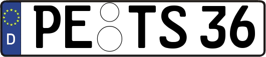 PE-TS36
