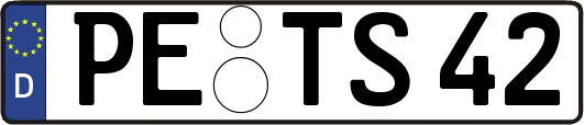 PE-TS42