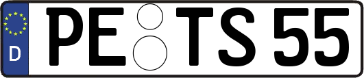 PE-TS55