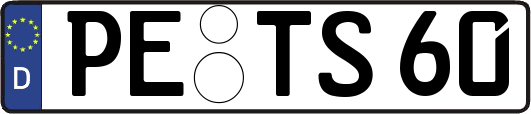PE-TS60