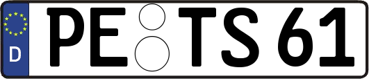 PE-TS61