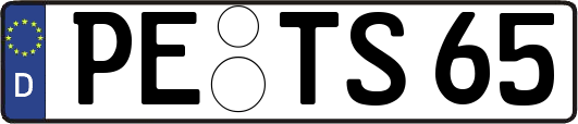 PE-TS65