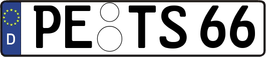 PE-TS66