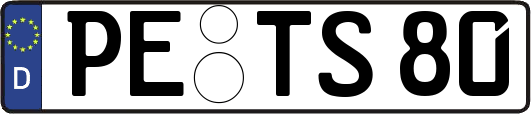 PE-TS80