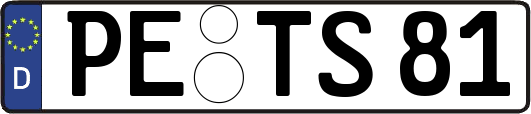 PE-TS81