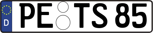 PE-TS85