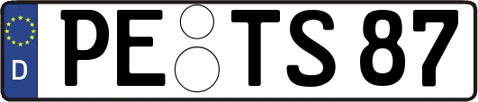 PE-TS87