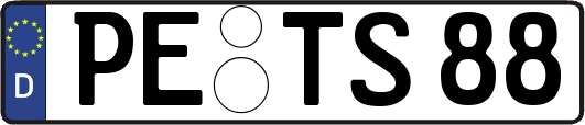 PE-TS88
