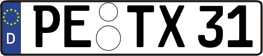 PE-TX31
