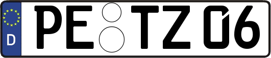 PE-TZ06