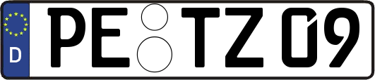 PE-TZ09