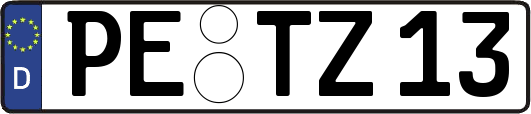 PE-TZ13